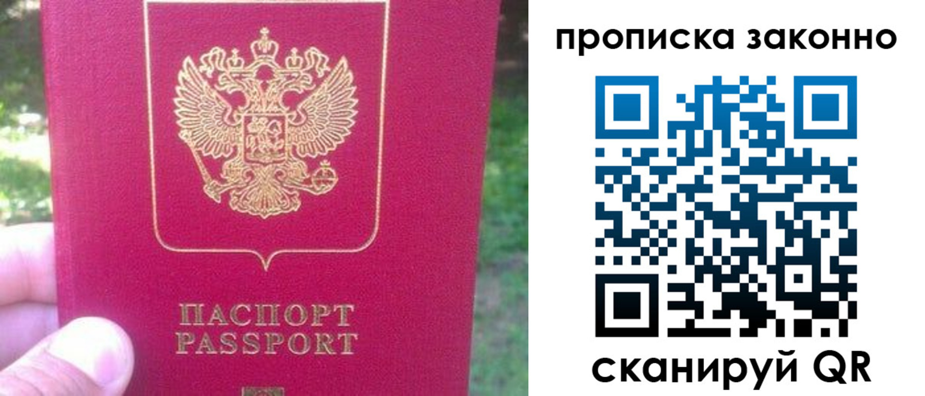 временная прописка в Гатчине